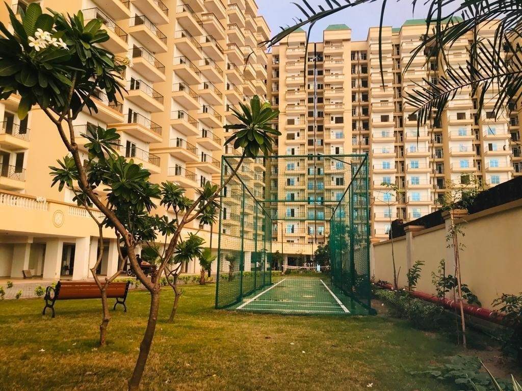  greens Landscape Garden and Tree Planting