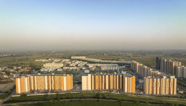 Elevation wave-city Elevation