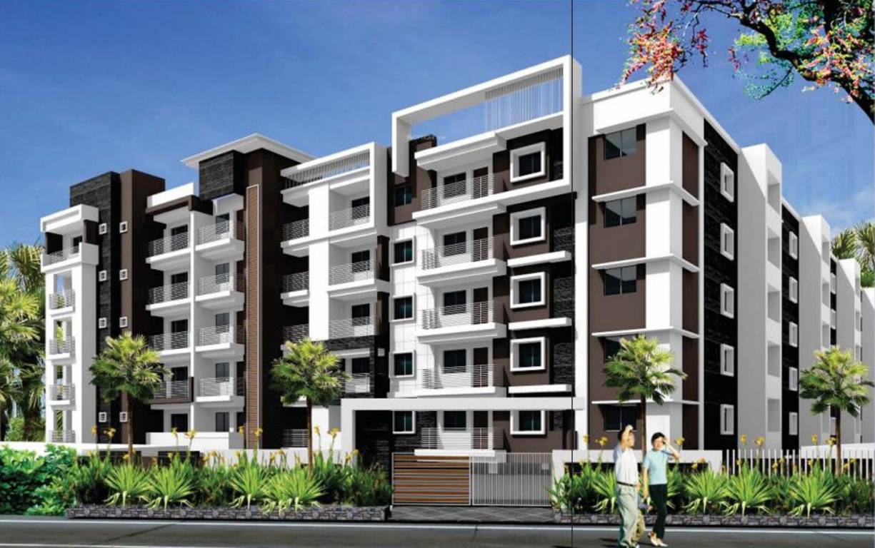  spring woods Elevation