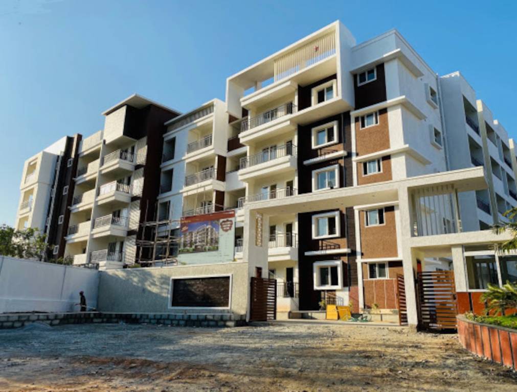  spring woods Images for Project