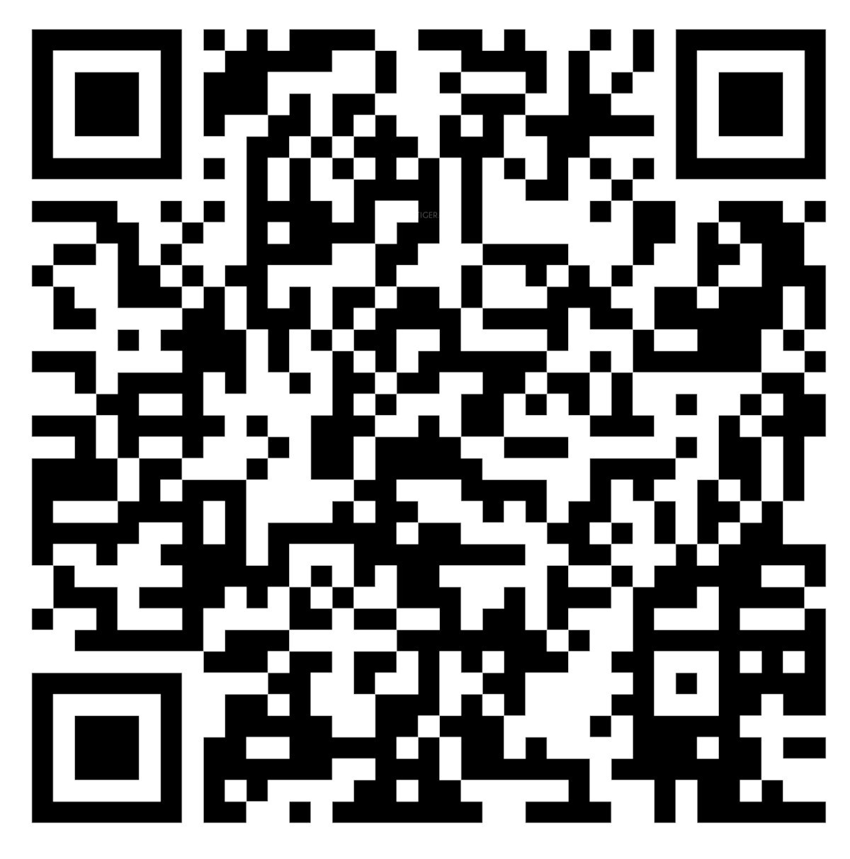 QR Image