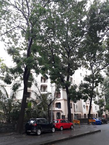  canna-co-operative-society Others