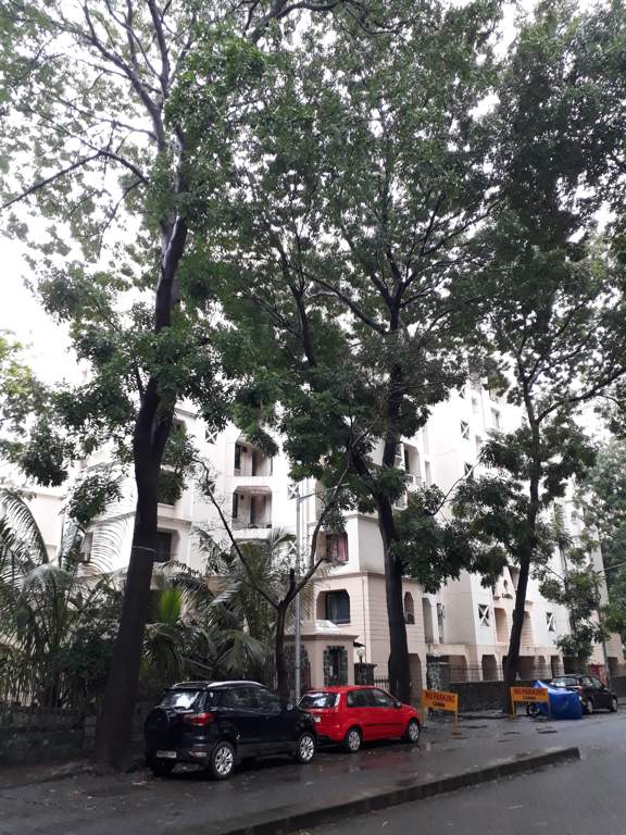  canna co operative society Others