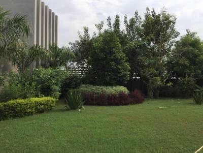  nandanbaug-shela Others