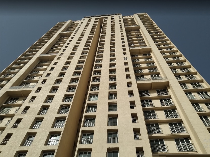  urbania aurelia Elevation