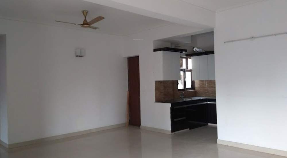  rainbow apartment Living Area