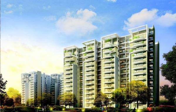  nirvana-country-ii Elevation