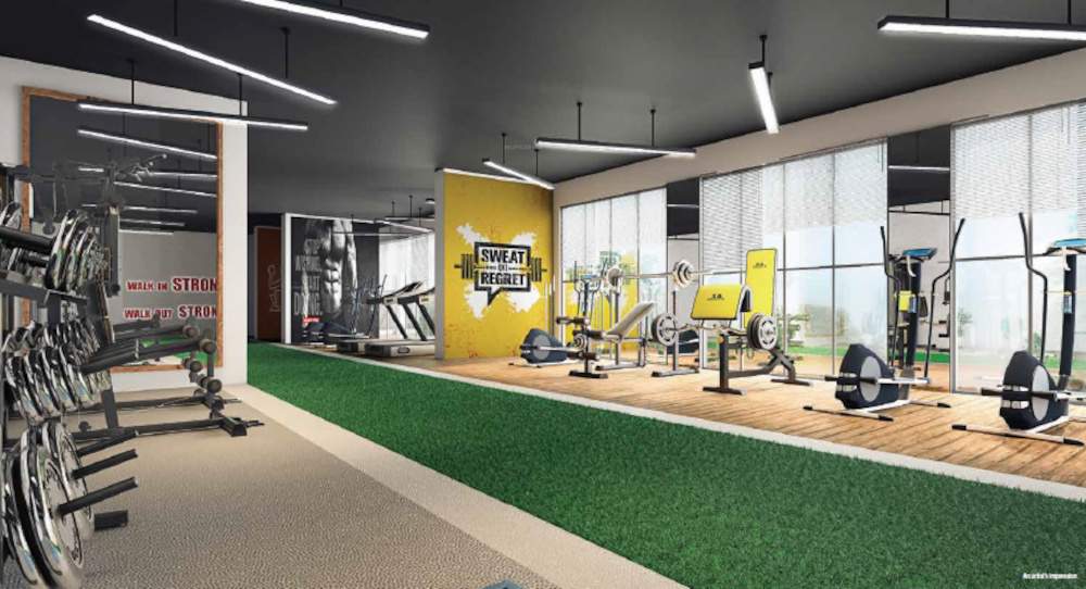  opulus s1 s2 r1 r2 and r3 Gymnasium