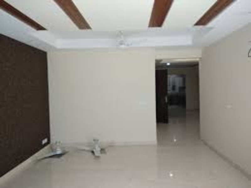 Images for mainOther