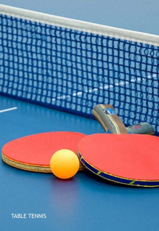  windsor greens phase 2 Table Tennis