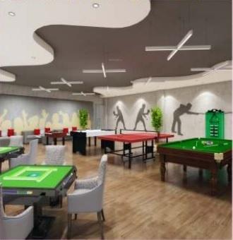  inaaya-royal-heights Indoor Games