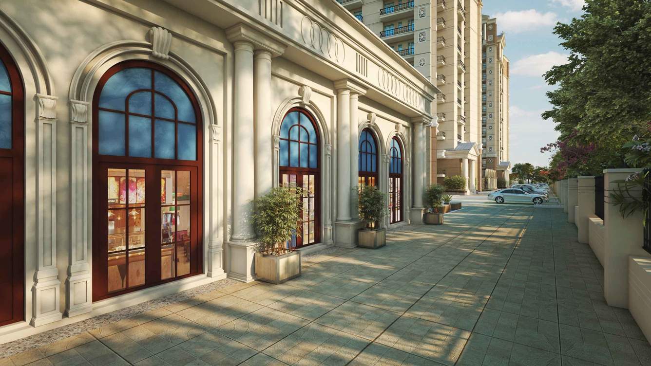 Tejas Greenberry Signatures