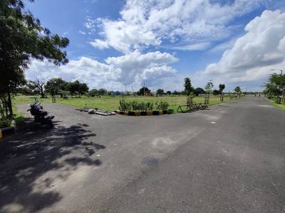  element-5 Landscape Garden and Tree Planting