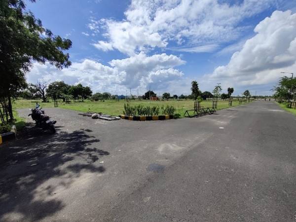  element-5 Landscape Garden and Tree Planting