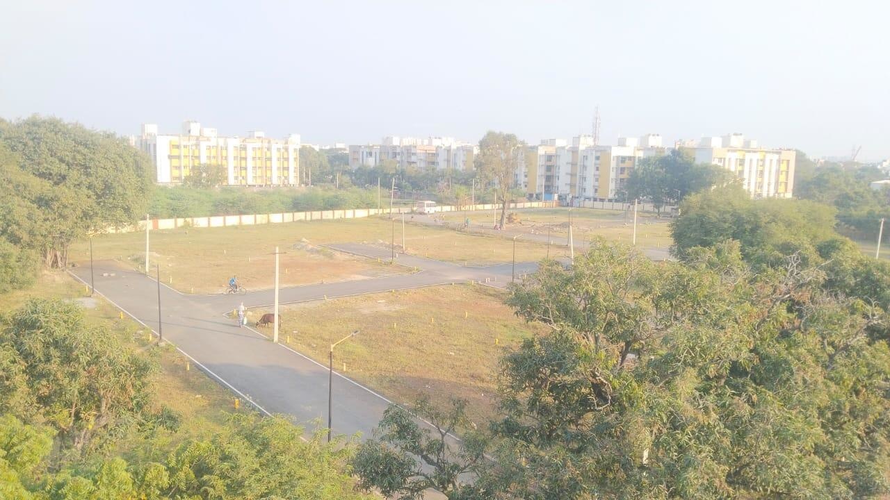  element 5 phase 1 Plot