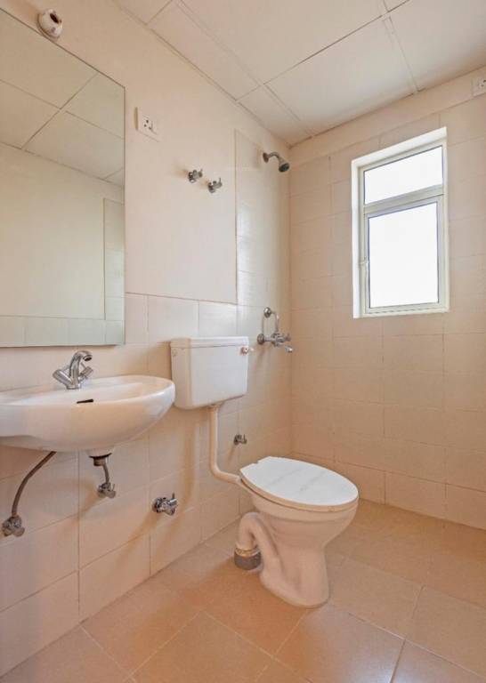 Images for mainOther