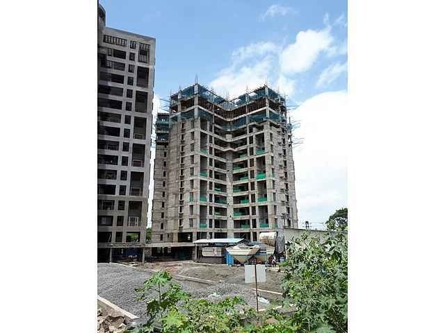 Vertical Oriana Phase IV