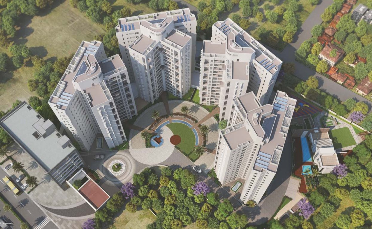  oriana phase iv Elevation