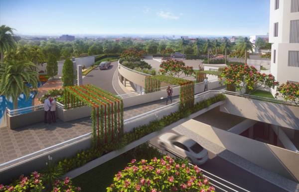  oriana-phase-iv Others