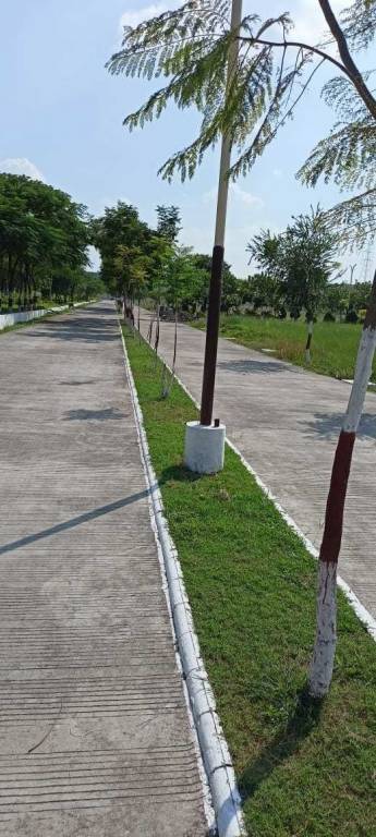 Fortune Golden Panorama