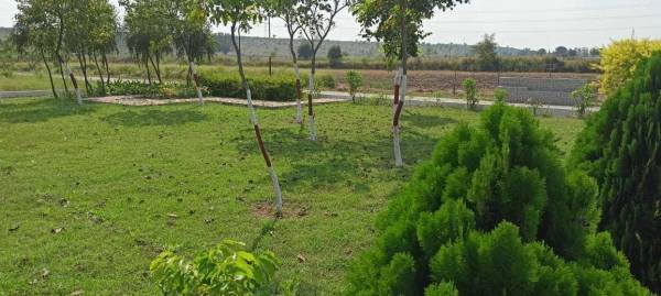 Landscape Garden and Tree Planting amenities of Fortune Golden Panorama