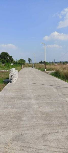 Internal Roads & Footpaths amenities of Fortune Golden Panorama