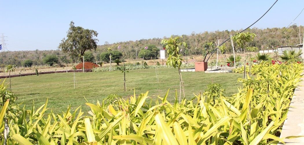 golden panorama Others