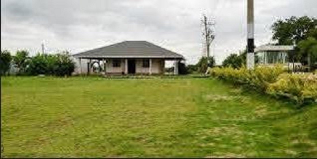  temple tree Elevation