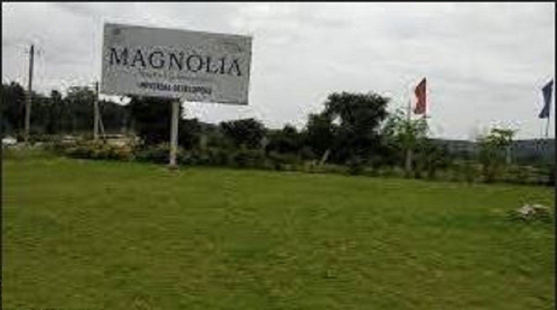  temple tree Elevation