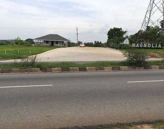  temple tree Elevation