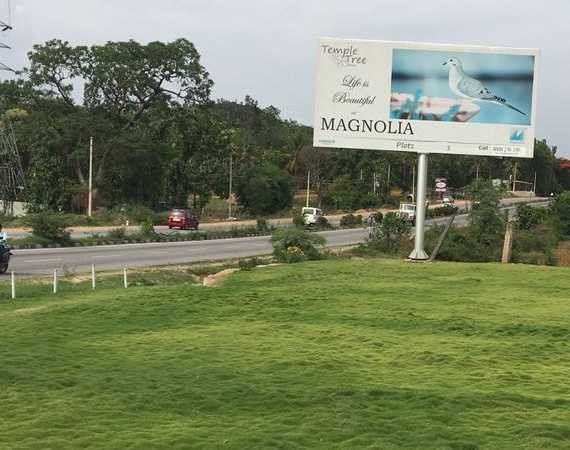  temple tree Elevation