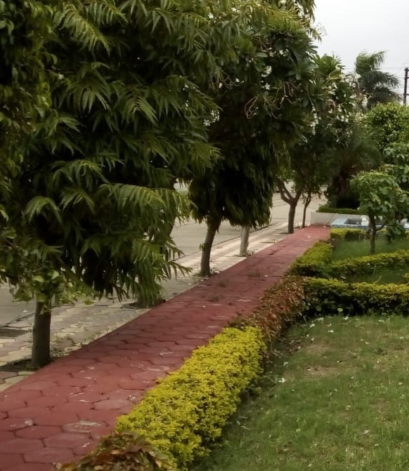 Fortune Landmark Phase II A