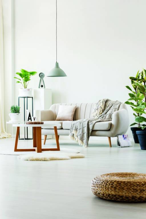 Images for mainOther