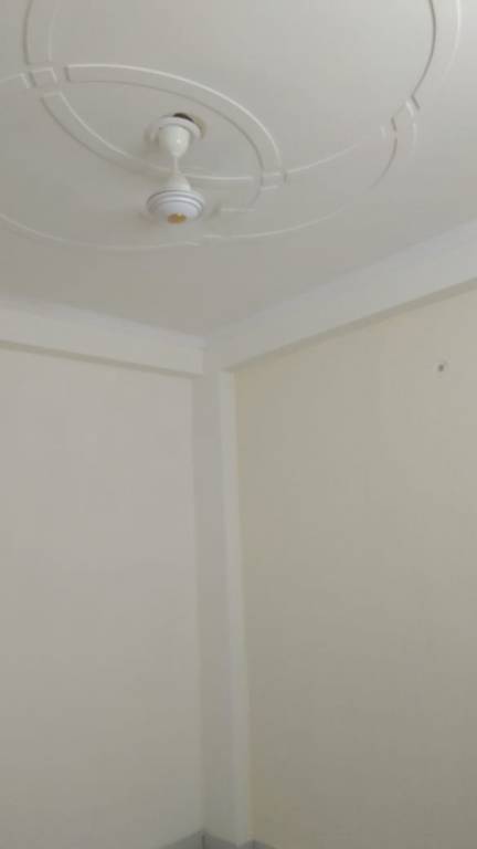 Images for mainOther