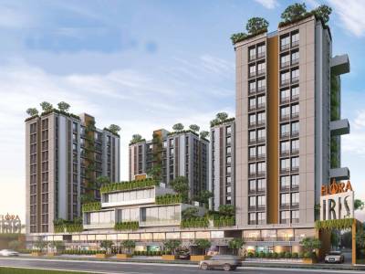  iris Images for Project