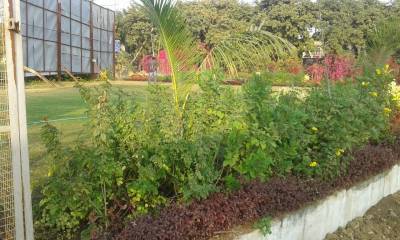  heights-phase-4 Others