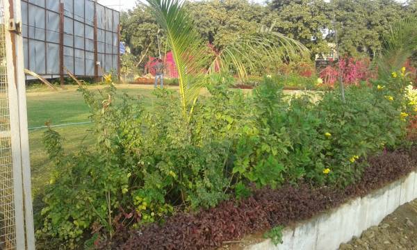  heights-phase-4 Others