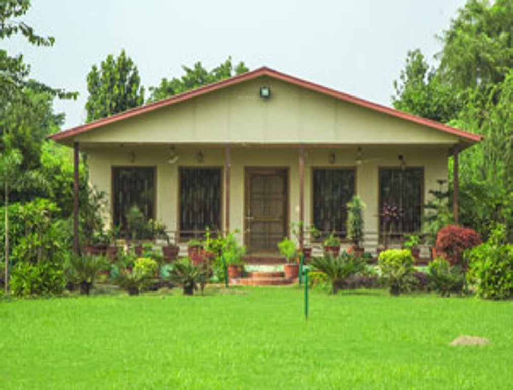 Images for mainOther