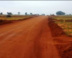  silver-county Others