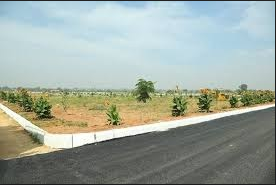  silver-county Others