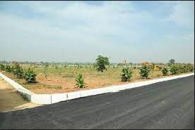  silver county Others