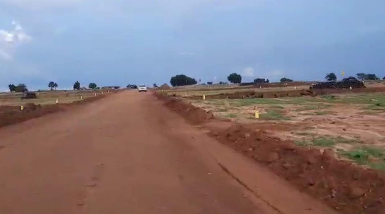 Images for mainOther