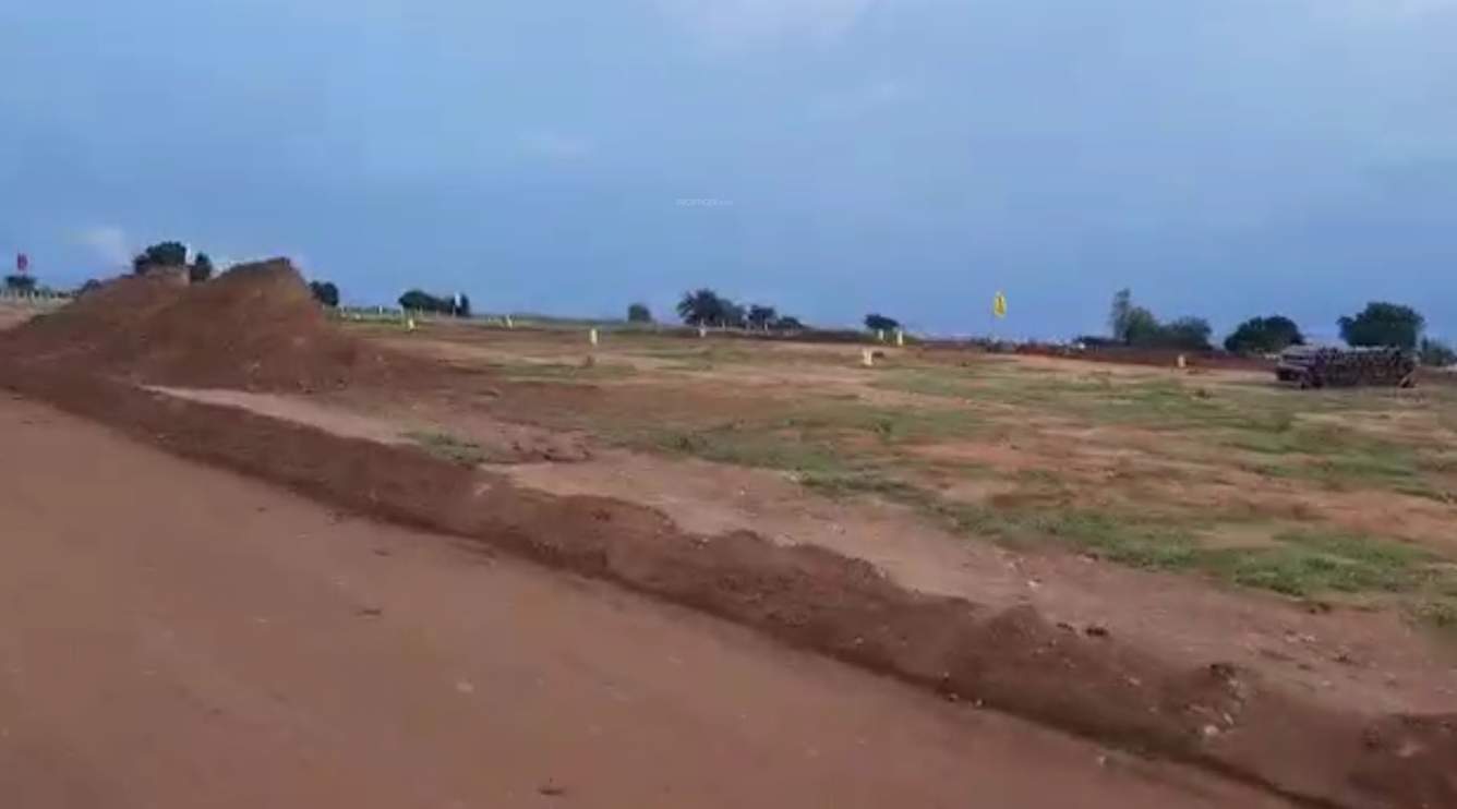 Images for mainOther