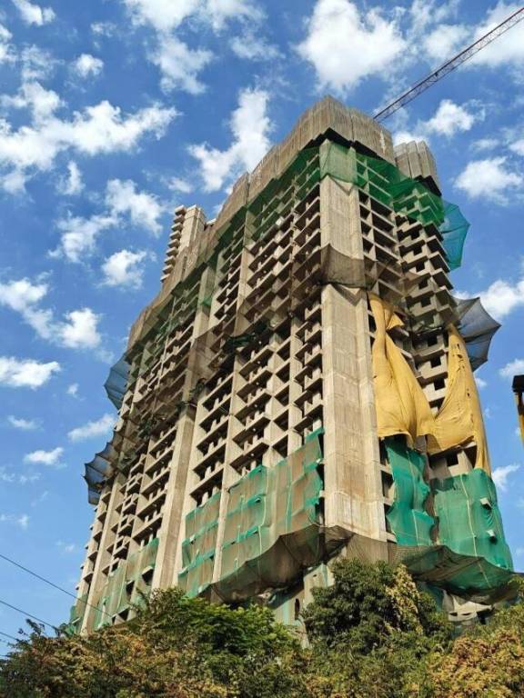 DSS Mahavir Spring Tulip Phase 1