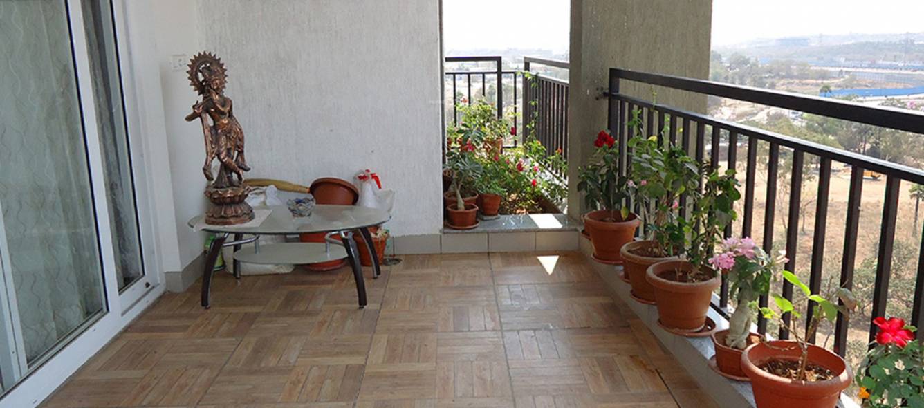 Images for mainOther