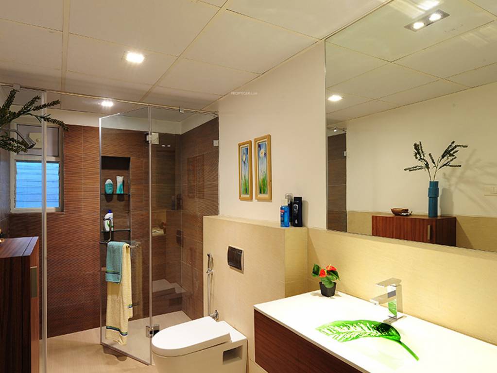 Images for mainOther