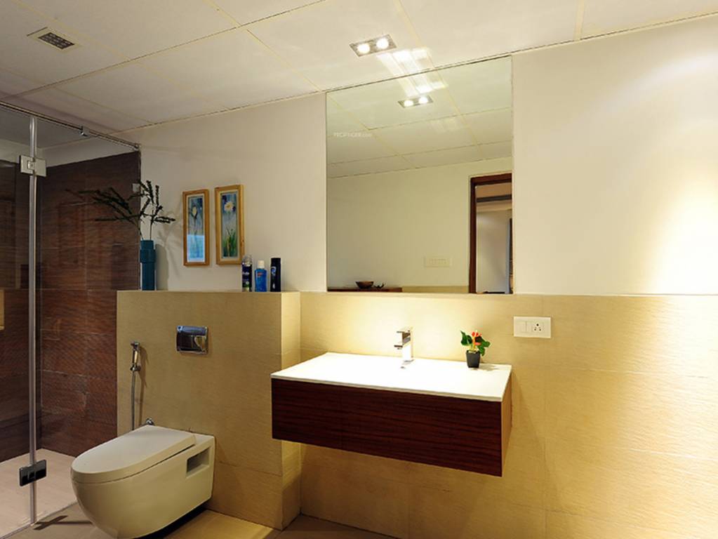 Images for mainOther