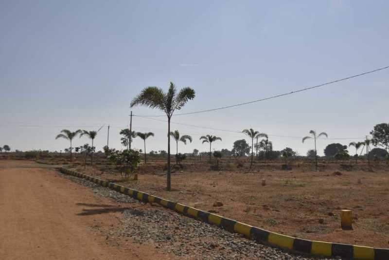  garden of eden v Internal Roads