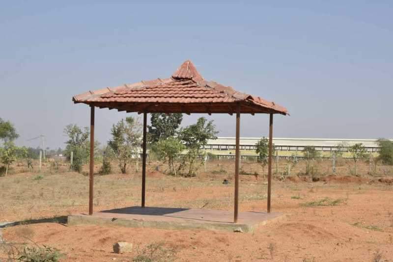  garden of eden v Pergola