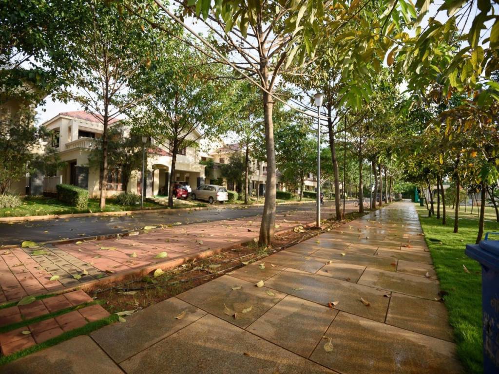 bellezea phase v Jogging Track